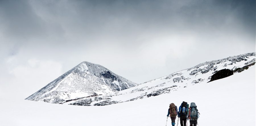 NEW LEADERSHIP COACHING