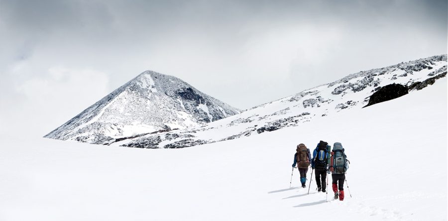 New Leadership in der VUCA-Welt