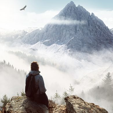 Systemische Beratung in Organisationen